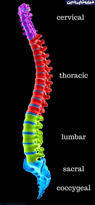 تنگی کانال نخاعی کمری (Lumbar spinal stenosis)