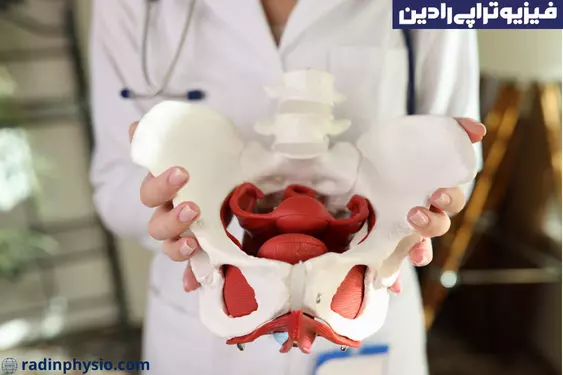 فیزیوتراپی لگن