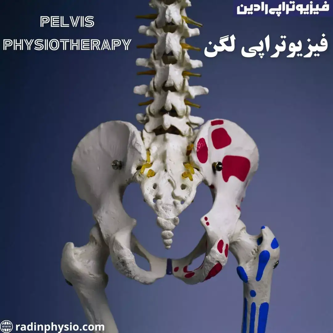 کلینیک فیزیوتراپی لگن