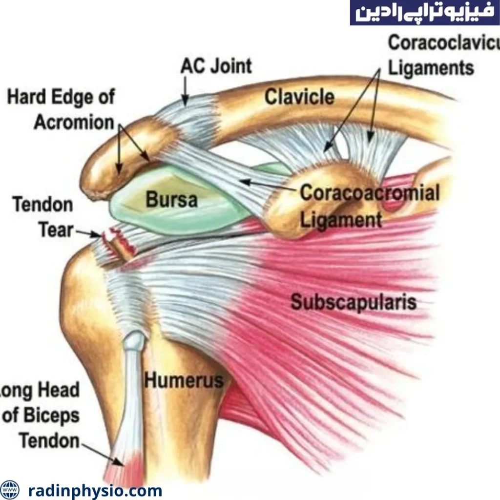 نحوه تشخیص رسوب کلسیوم در شانه